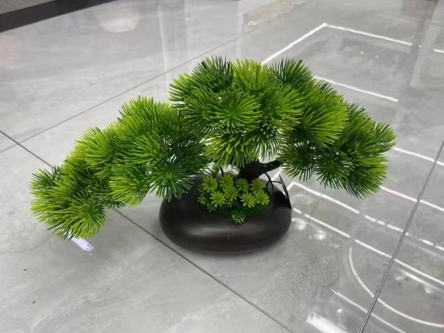 Bonsai (16)
